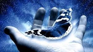 hvaležnost do življenja